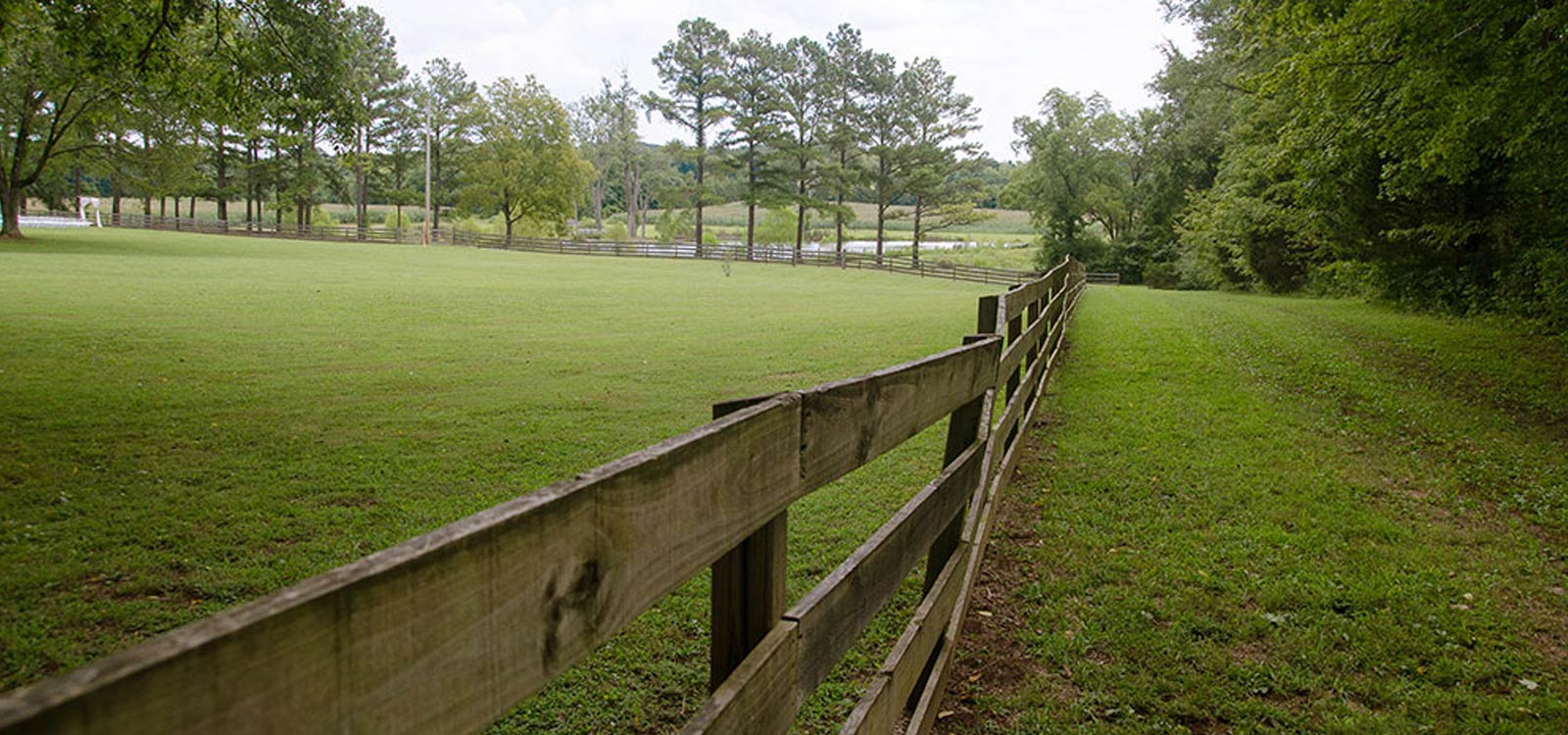 Rural Hill Farm - Fence Row