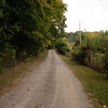 Rural Hill Farm - Road